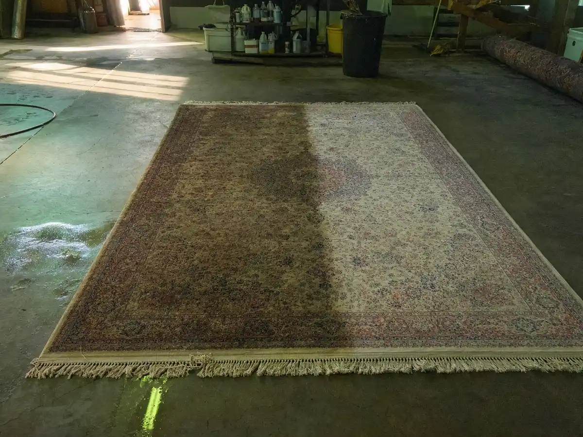 Rug Cleaning in Burbank, CA
